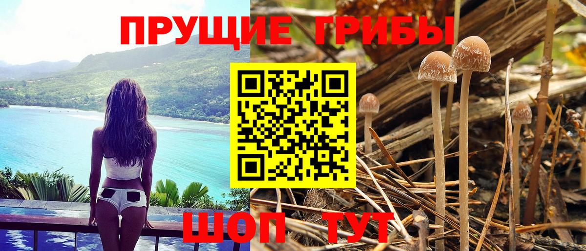 Псилоцибиновые грибы ЛСД Люберцы